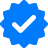 Police Badge